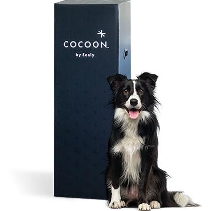  Sealy Cocoon Soft Mattress (Queen) IMAGE 3