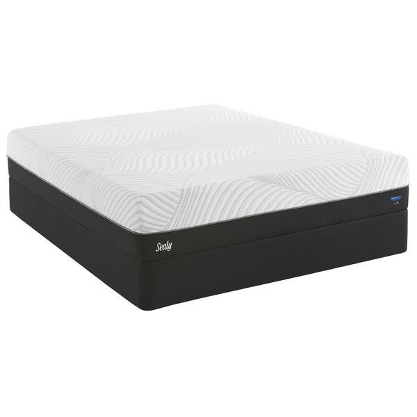  Sealy Conform Performance Firm Mattress Set (Queen) IMAGE 1