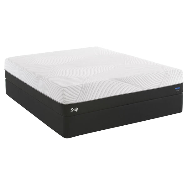  Sealy Conform Performance Plush Mattress Set (Queen) IMAGE 1