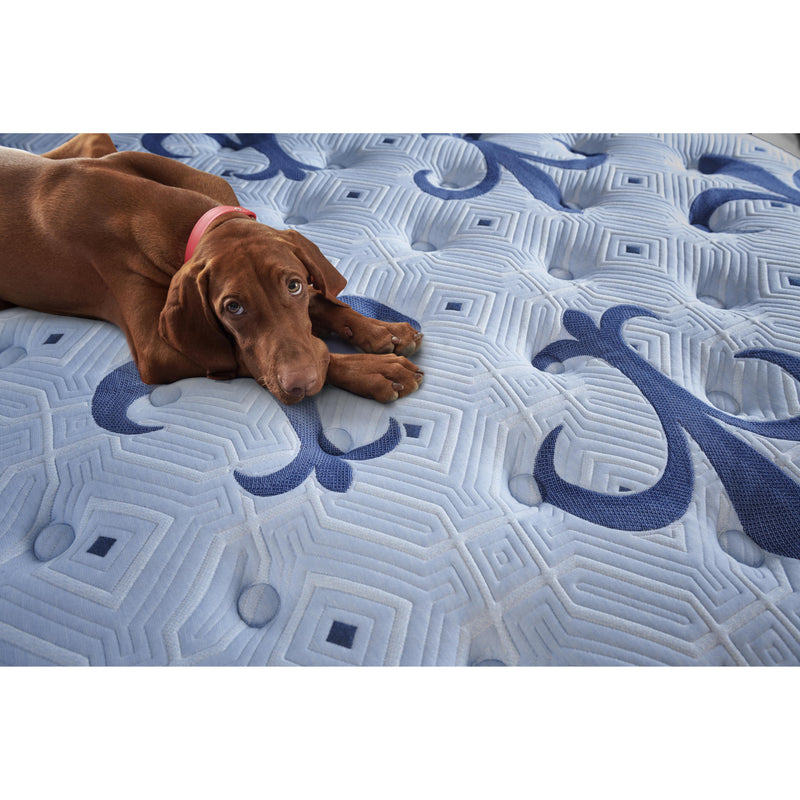  Stearns & Foster Ellaria Firm Euro Top Mattress (Queen) IMAGE 19