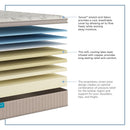  Sherwood Bedding Group Approachable Ultra Soft ET Mattress (Twin) IMAGE 3