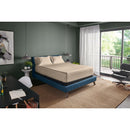  Tempur-Pedic TEMPUR-Adapt Luxe Egyptian Cotton Sheets - Sandstone (California King ) IMAGE 1