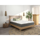  Sherwood Bedding Group Winston Diez Firm (MIAB) Mattress (Full) IMAGE 1