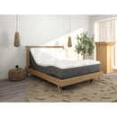  Sherwood Bedding Group Winston Diez Firm (MIAB) Mattress (Twin) IMAGE 2