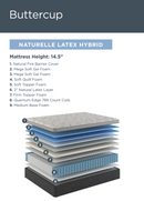 Buttercup Medium Euro